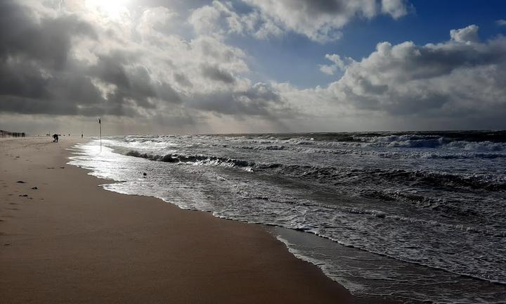 Gosch am Strand